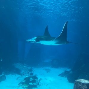 Meet your Posher, Danny